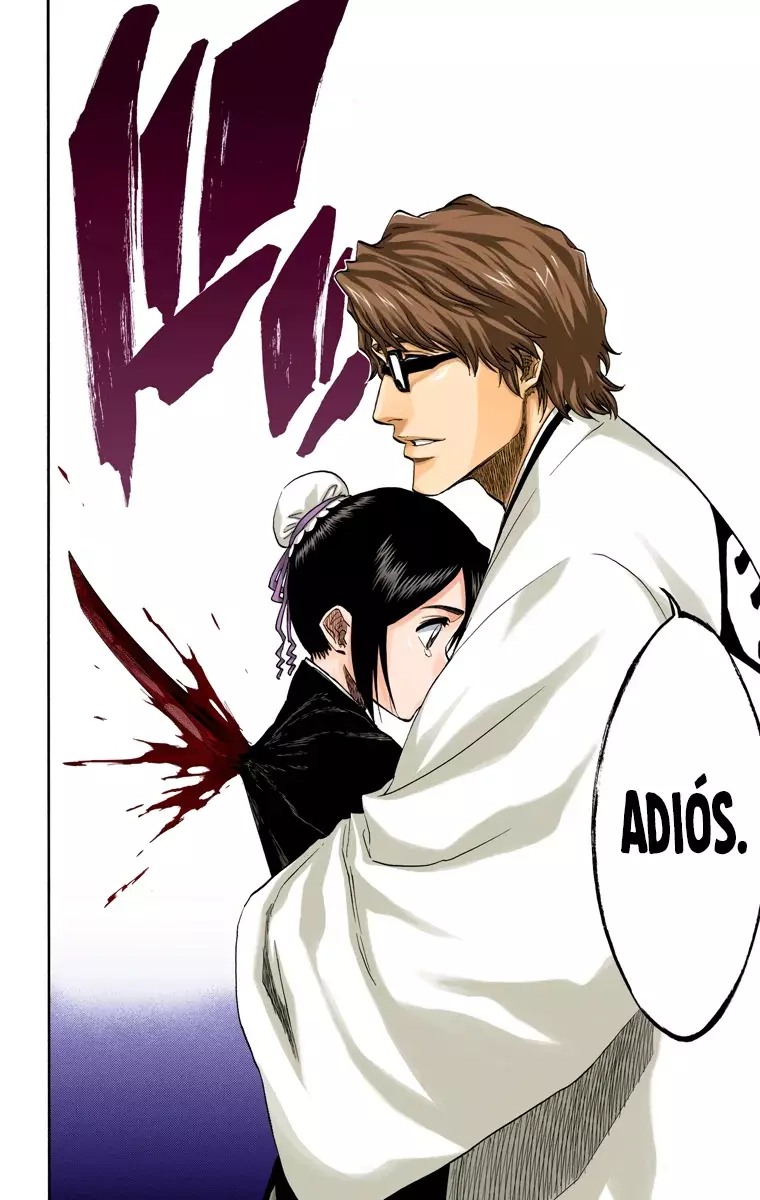 Bleach (Color) capítulo 169, página 17