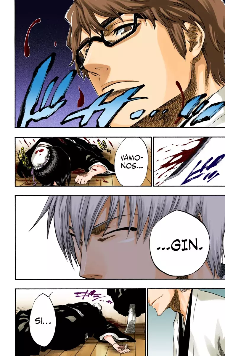 Bleach (Color) capítulo 169, página 19