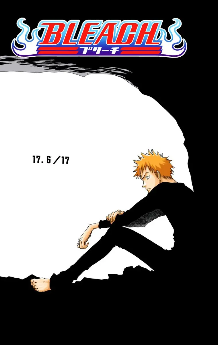 Bleach (Color) capítulo 17, página 8