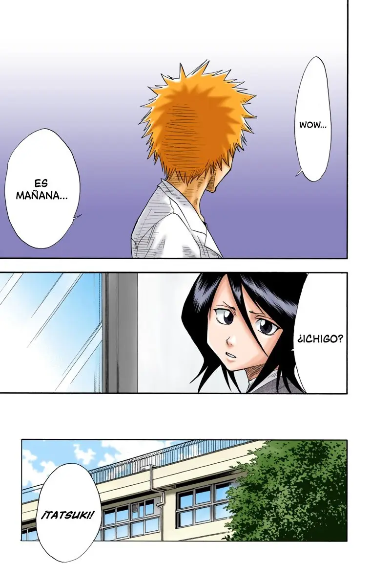 Bleach (Color) capítulo 17, página 16