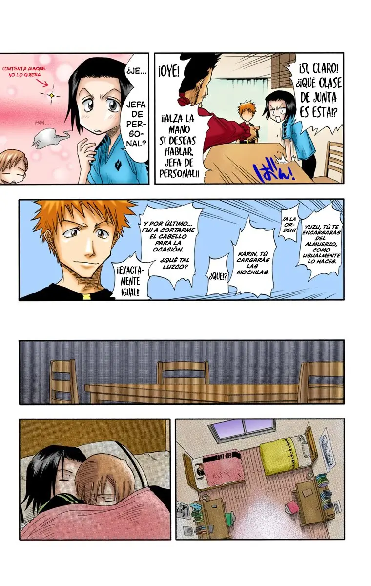 Bleach (Color) capítulo 17, página 22