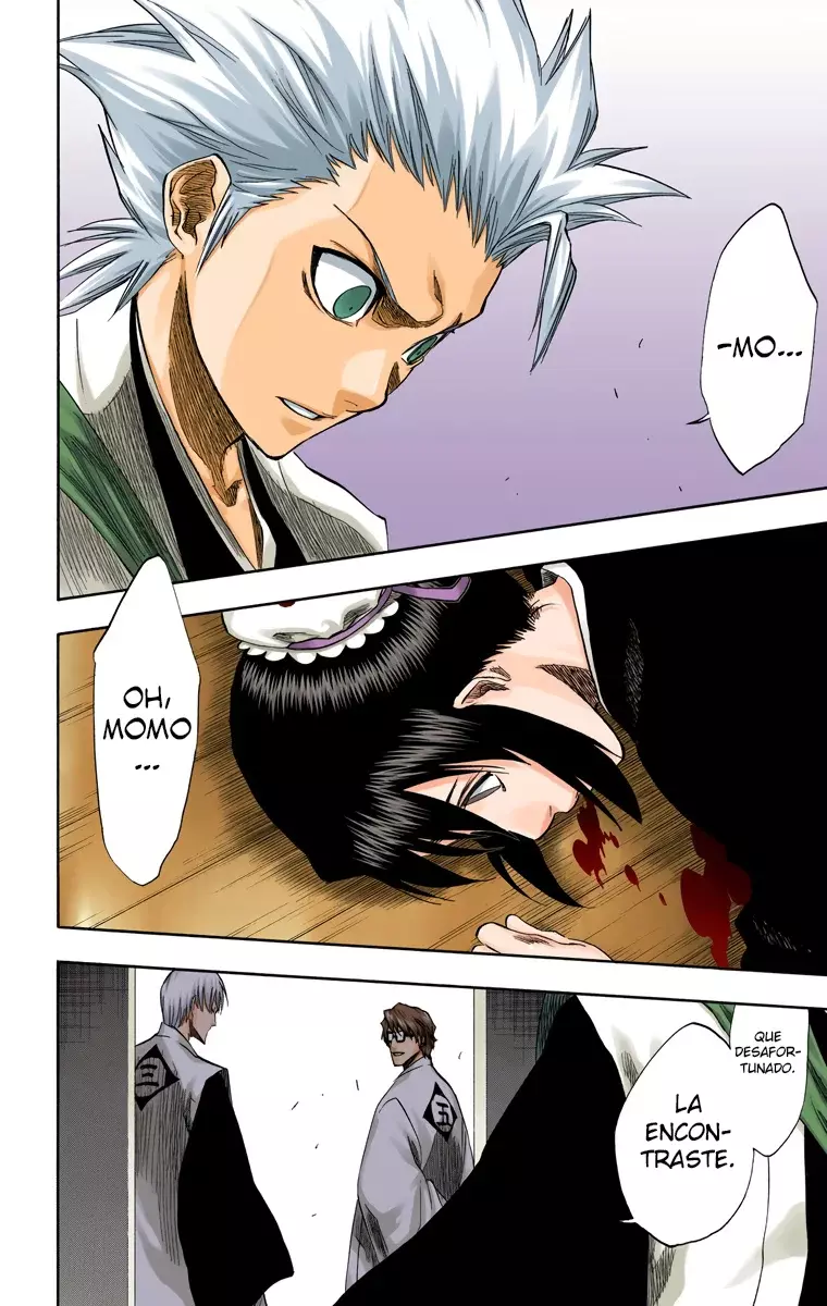 Bleach (Color) capítulo 170, página 10