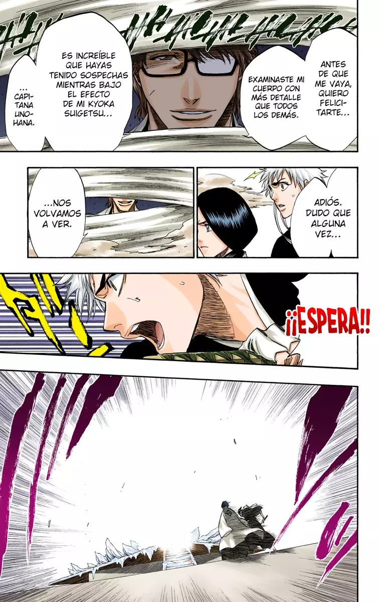 Bleach (Color) capítulo 171, página 18