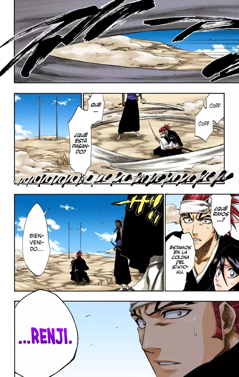 Bleach (Color) capítulo 171, página 19