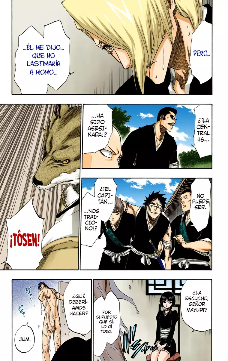 Bleach (Color) capítulo 172, página 13