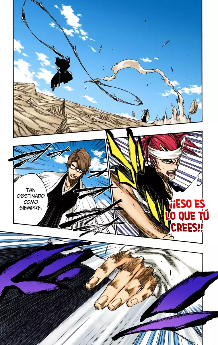 Bleach (Color) capítulo 173, página 12