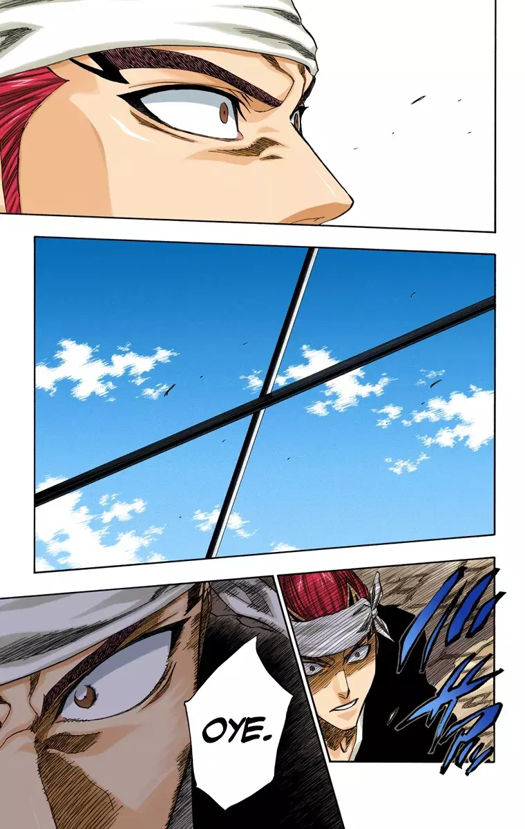 Bleach (Color) capítulo 173, página 18
