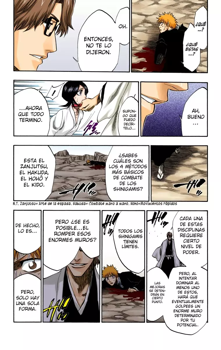 Bleach (Color) capítulo 175, página 10