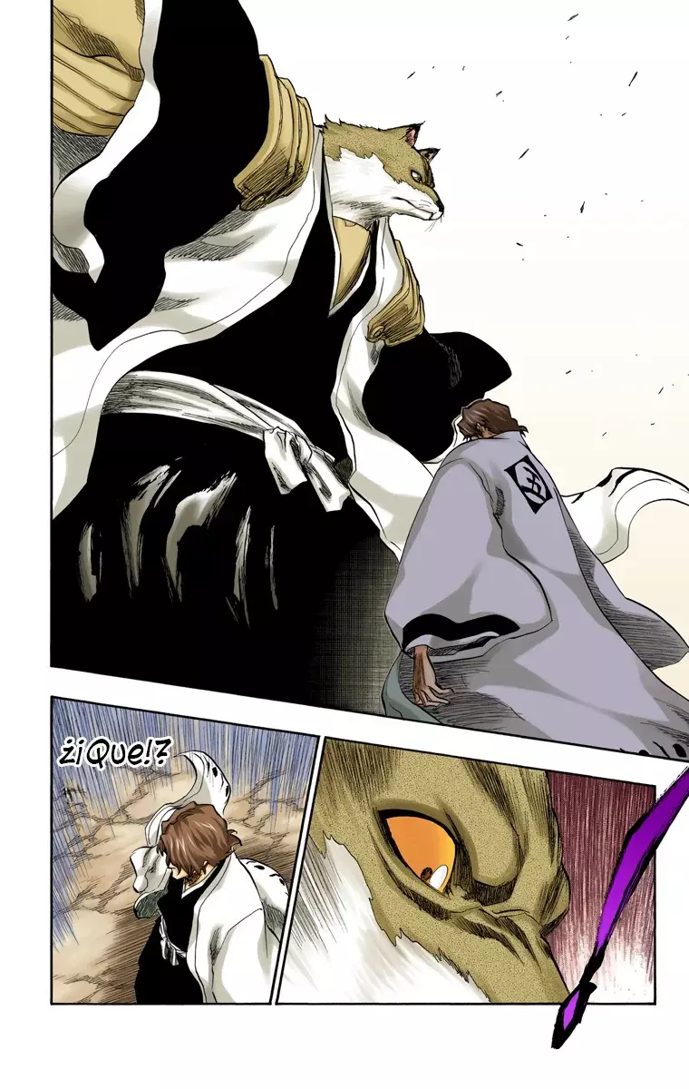 Bleach (Color) capítulo 176, página 11