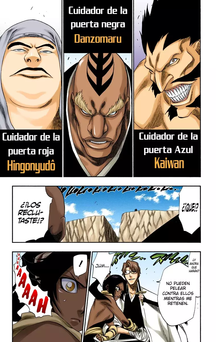 Bleach (Color) capítulo 177, página 10