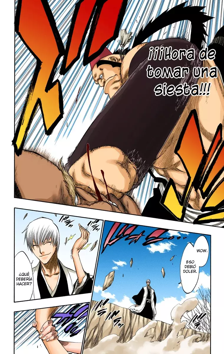 Bleach (Color) capítulo 177, página 14
