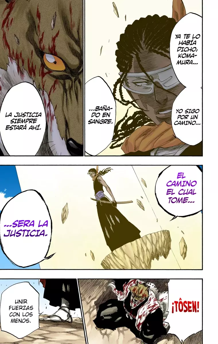 Bleach (Color) capítulo 178, página 13