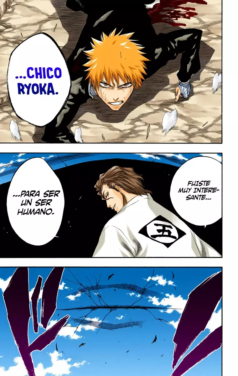 Bleach (Color) capítulo 178, página 18