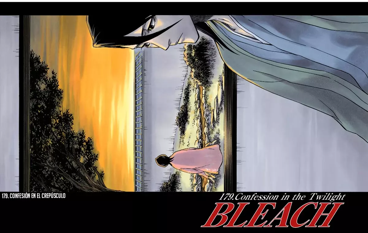 Bleach (Color) capítulo 179, página 8