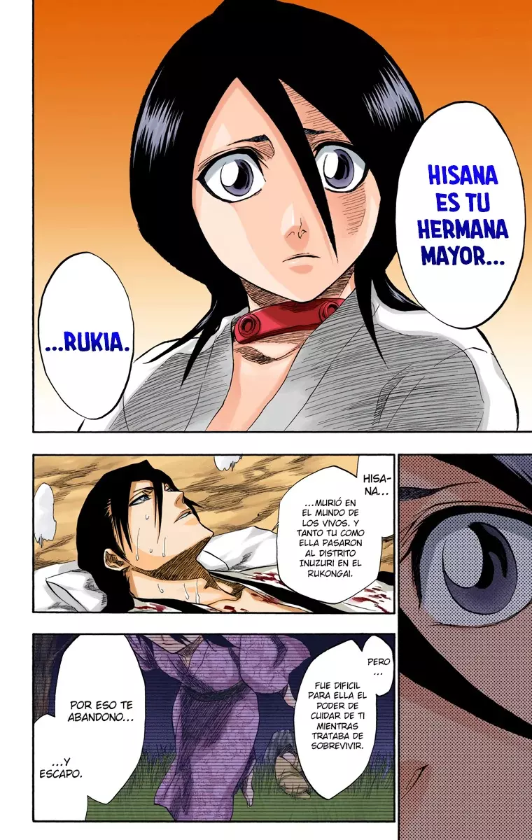 Bleach (Color) capítulo 179, página 19