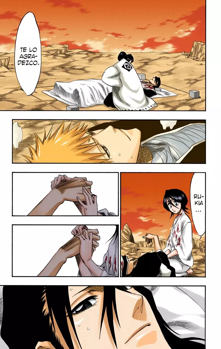 Bleach (Color) capítulo 179, página 24