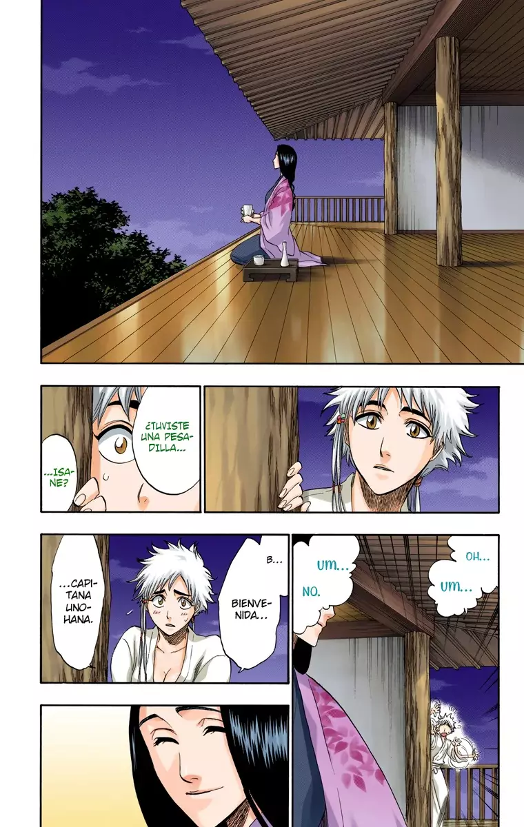 Bleach (Color) capítulo 179, página 27