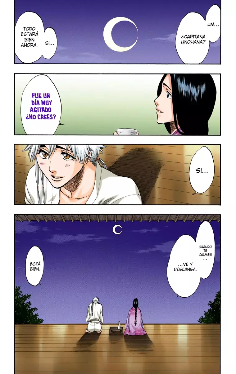 Bleach (Color) capítulo 179, página 28