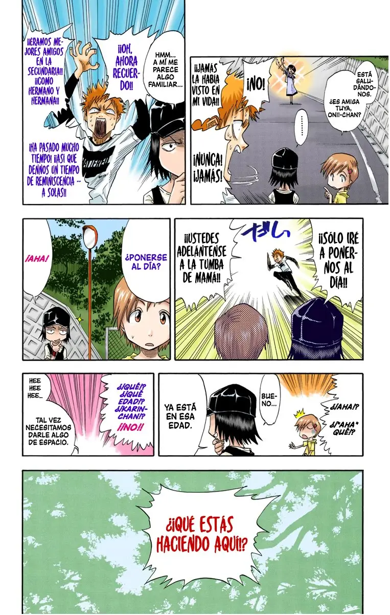 Bleach (Color) capítulo 18, página 10