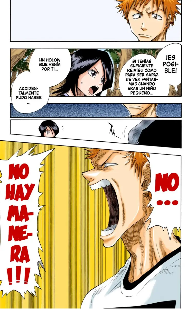 Bleach (Color) capítulo 18, página 13