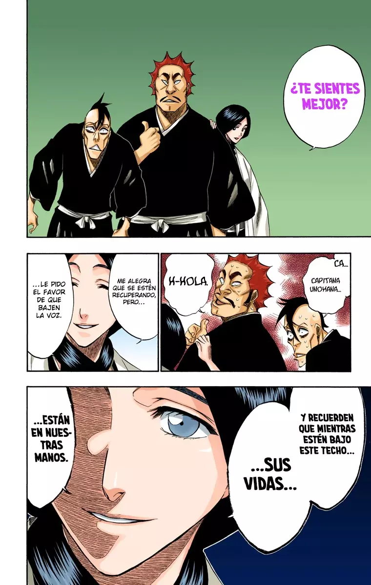 Bleach (Color) capítulo 180, página 3