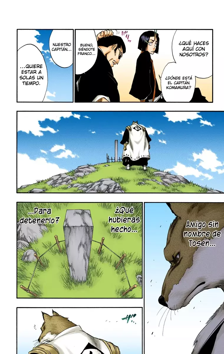 Bleach (Color) capítulo 180, página 13