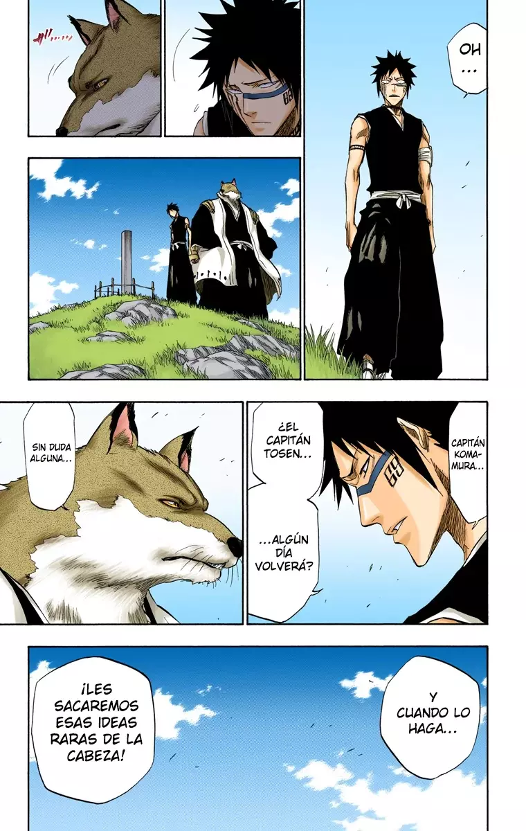 Bleach (Color) capítulo 180, página 14