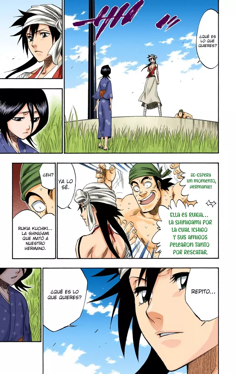 Bleach (Color) capítulo 181, página 10