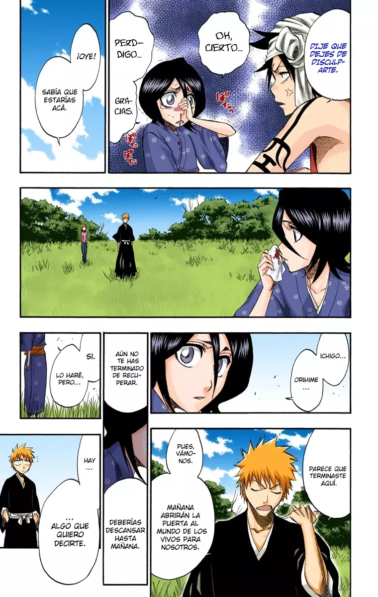 Bleach (Color) capítulo 181, página 14