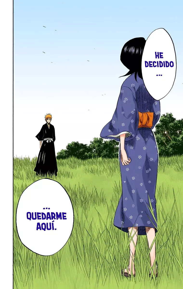 Bleach (Color) capítulo 181, página 15