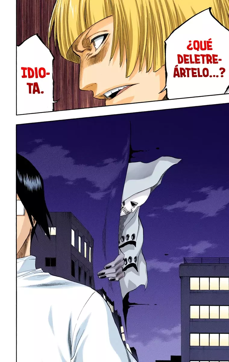 Bleach (Color) capítulo 184, página 17