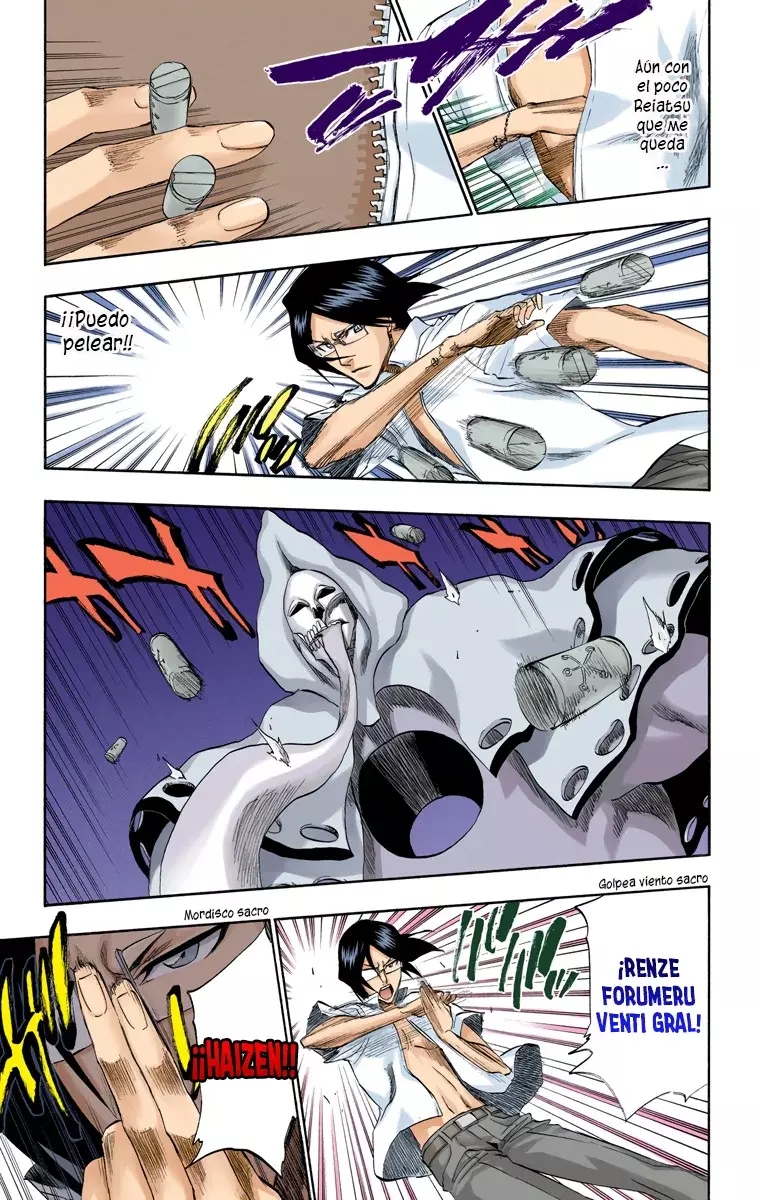 Bleach (Color) capítulo 185, página 14