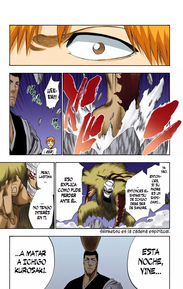 Bleach (Color) capítulo 187, página 10