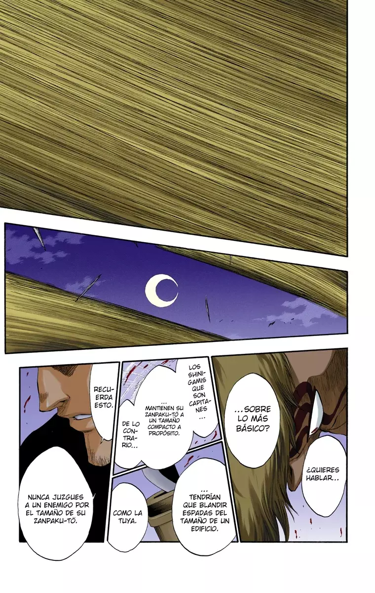 Bleach (Color) capítulo 187, página 17