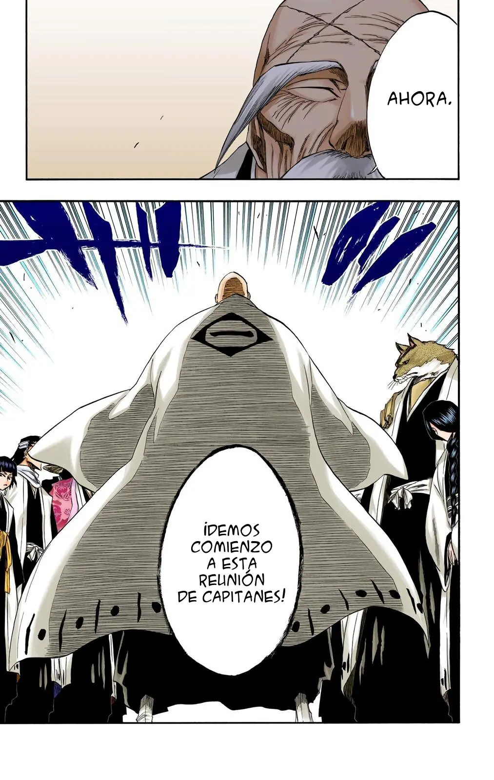 Bleach (Color) capítulo 188, página 25