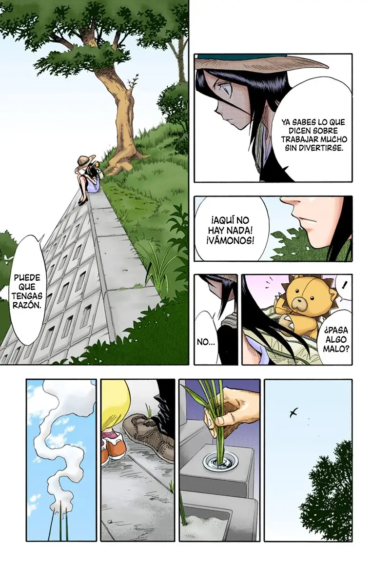 Bleach (Color) capítulo 19, página 6