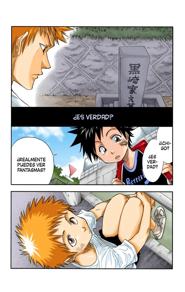 Bleach (Color) capítulo 19, página 7