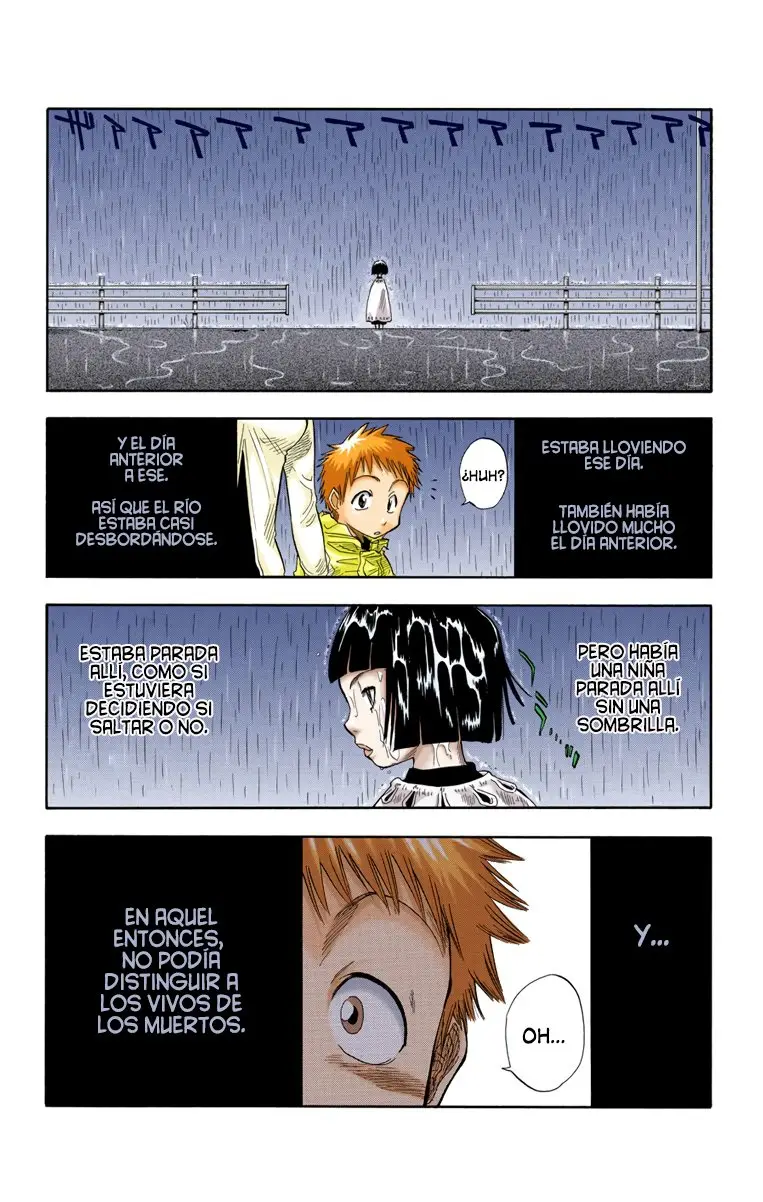 Bleach (Color) capítulo 19, página 13