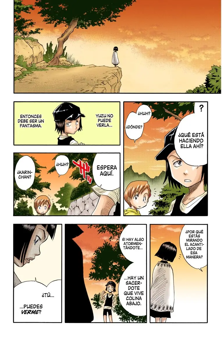 Bleach (Color) capítulo 19, página 19