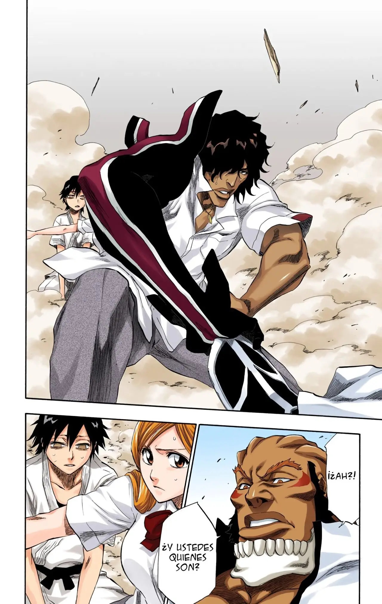 Bleach (Color) capítulo 191, página 14