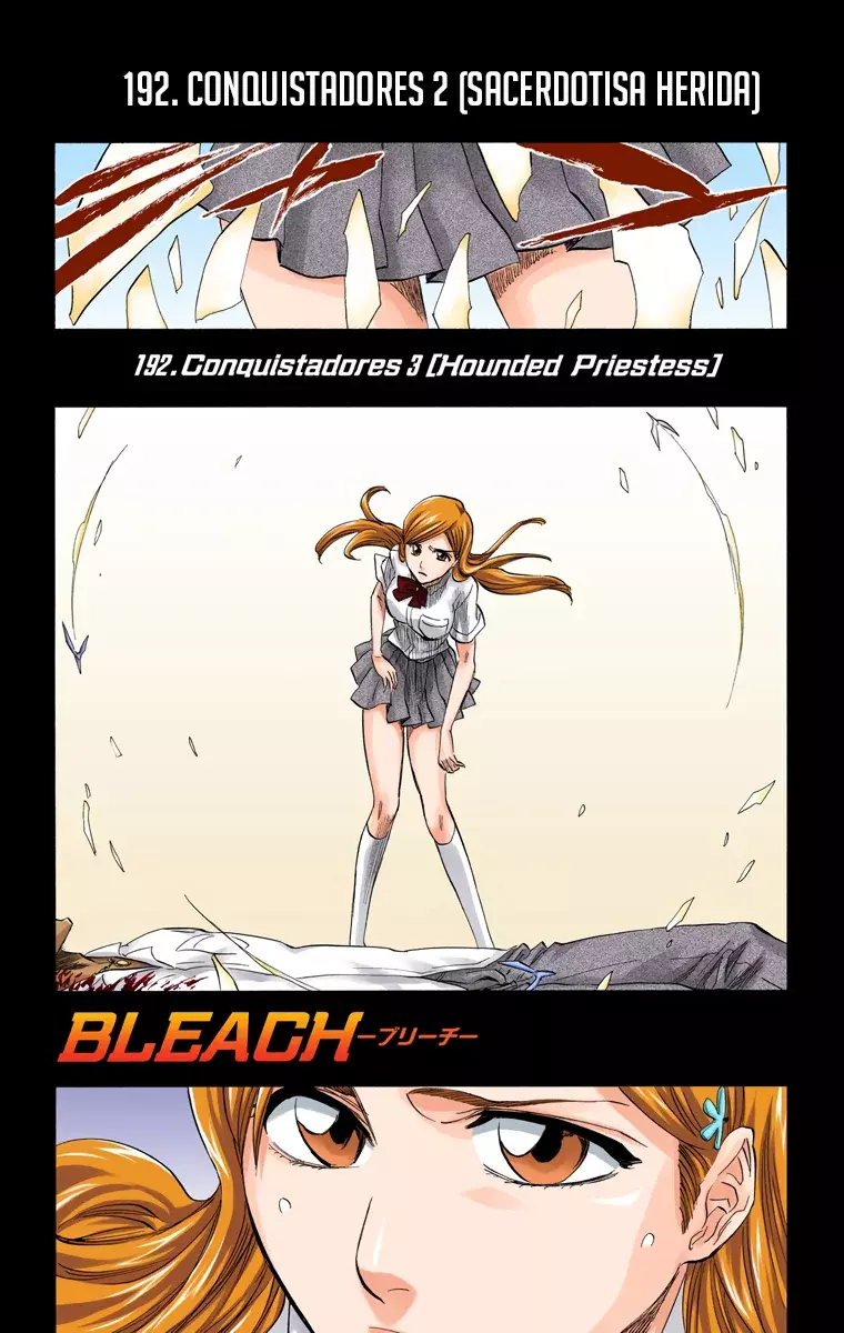 Bleach (Color) capítulo 192, página 8