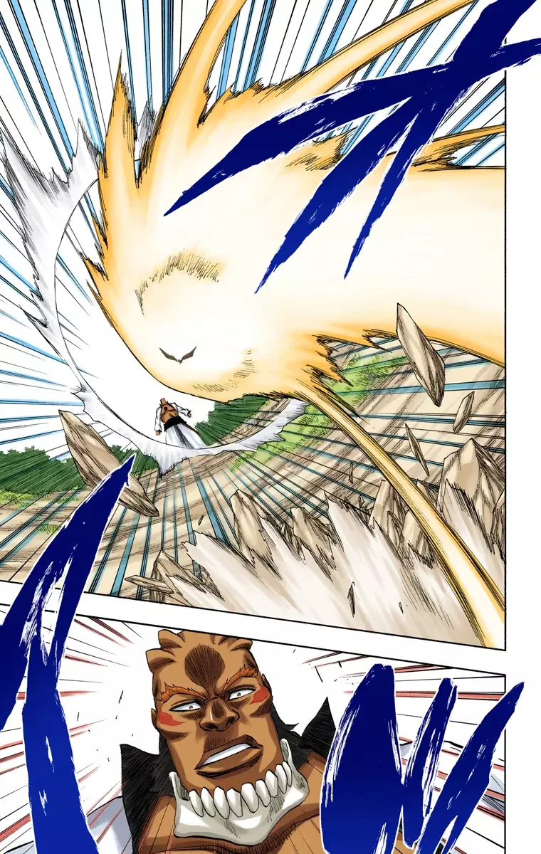 Bleach (Color) capítulo 192, página 14