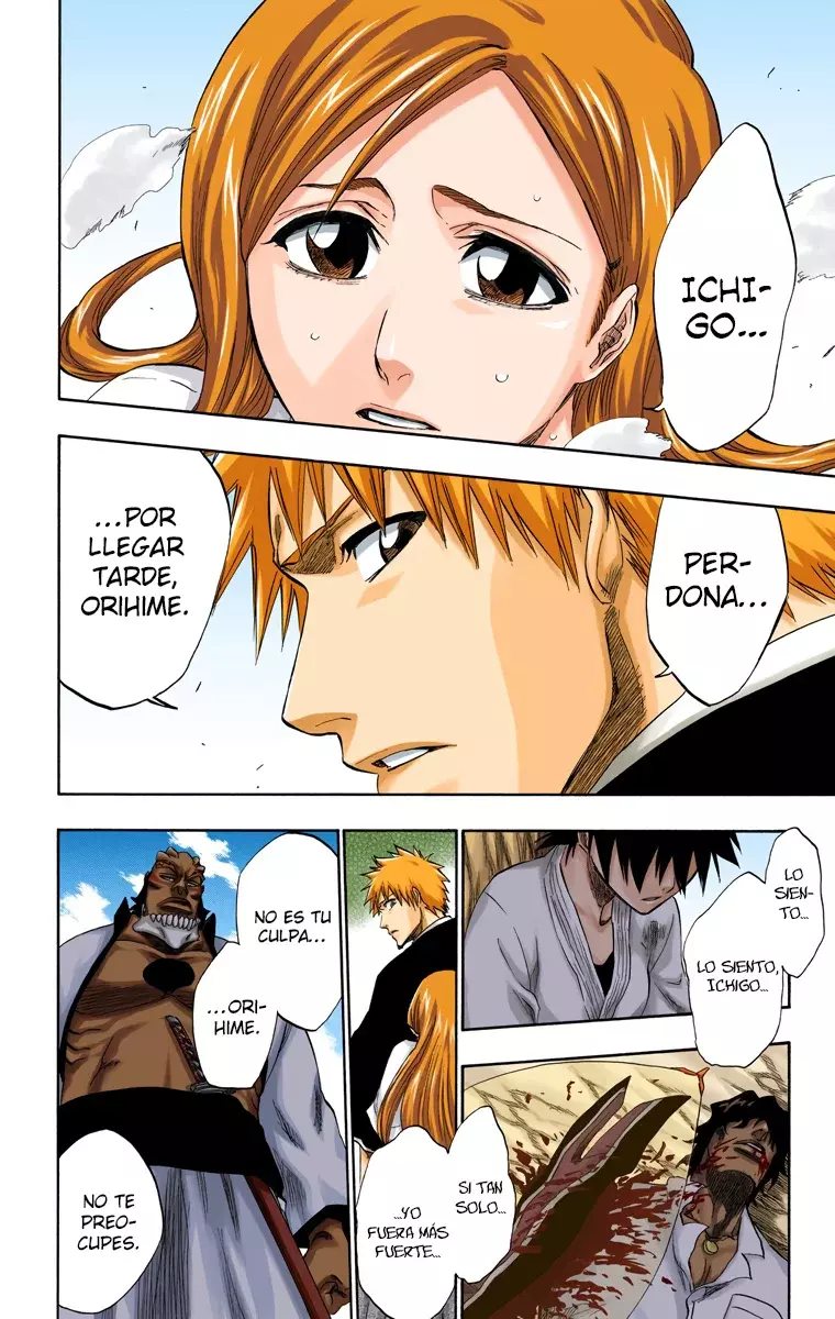 Bleach (Color) capítulo 192, página 19