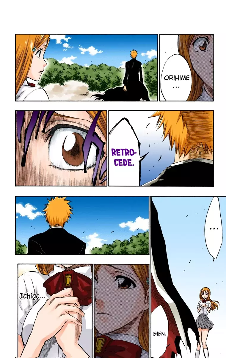 Bleach (Color) capítulo 193, página 8
