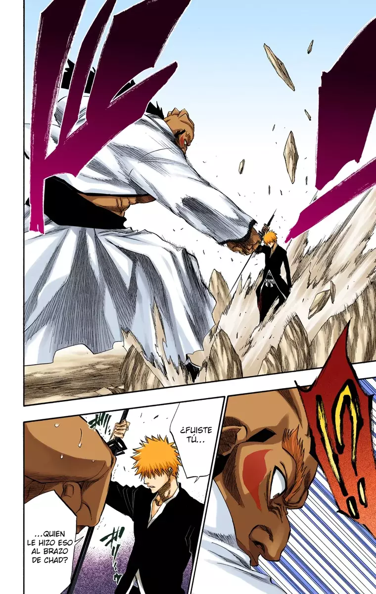 Bleach (Color) capítulo 193, página 10