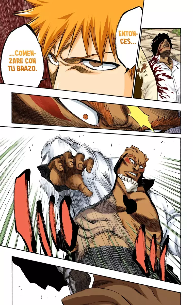 Bleach (Color) capítulo 193, página 11
