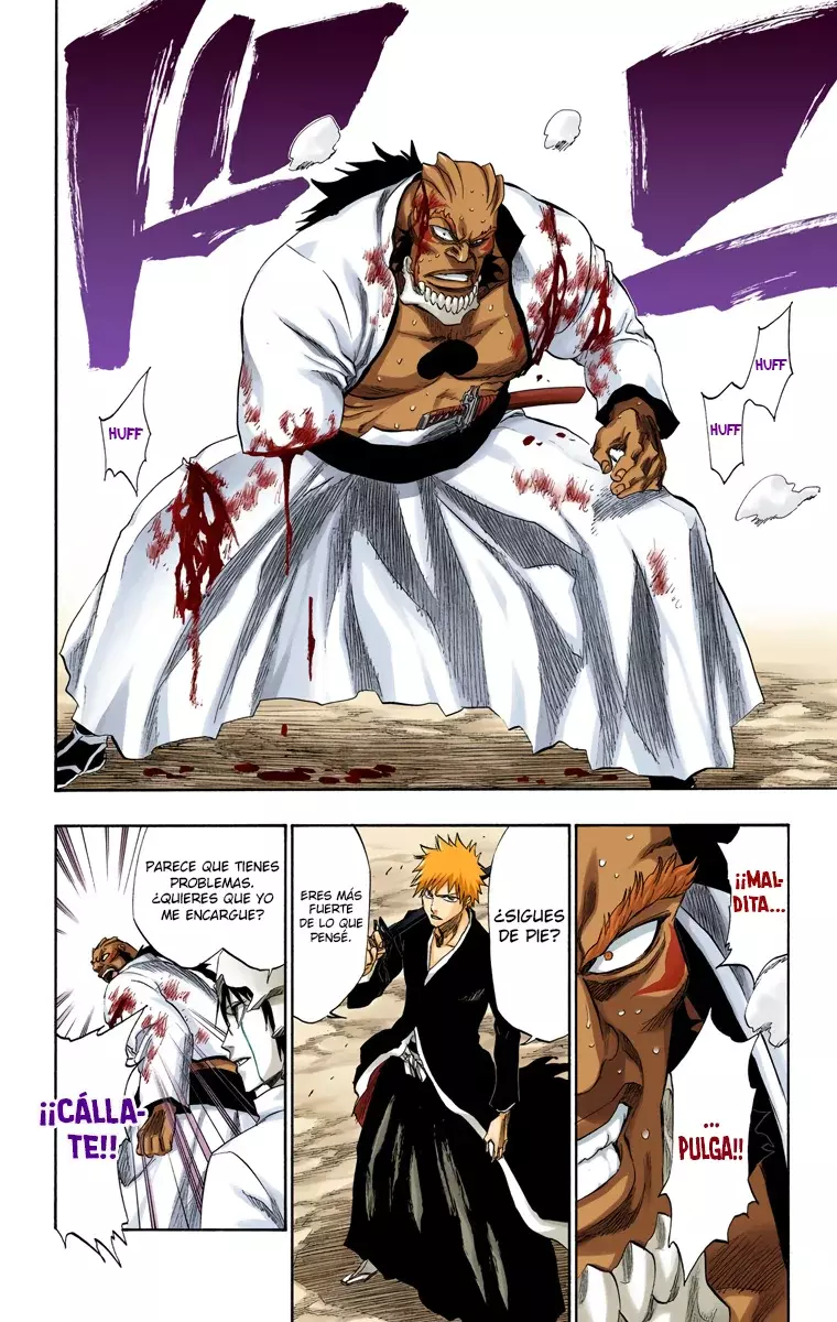 Bleach (Color) capítulo 193, página 14