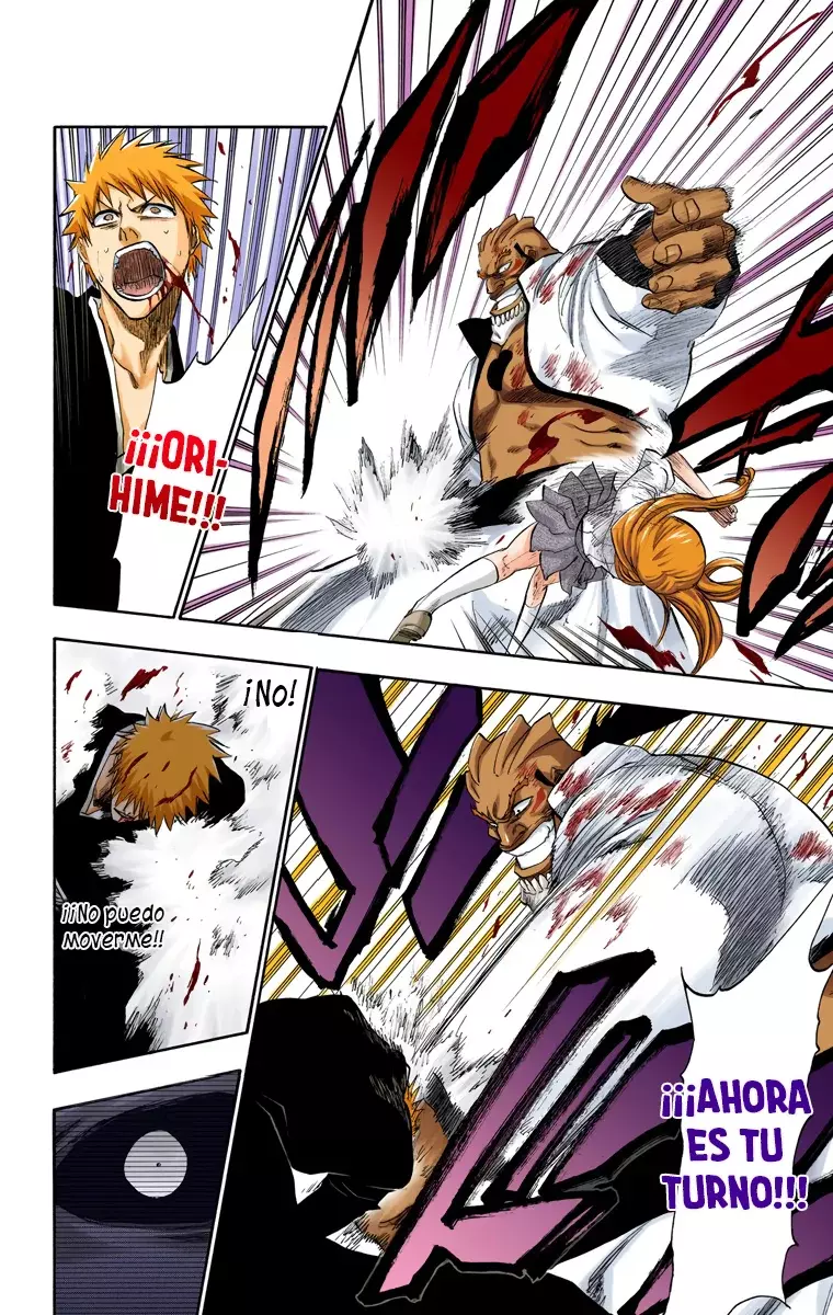 Bleach (Color) capítulo 193, página 18