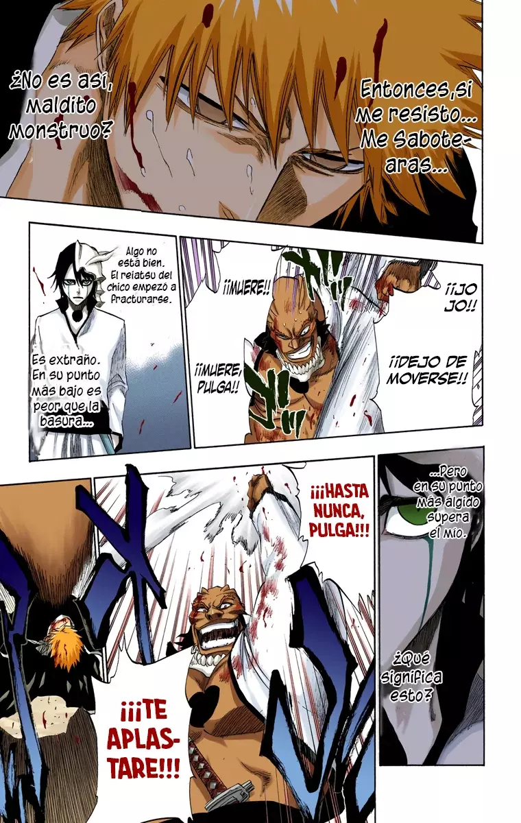 Bleach (Color) capítulo 193, página 19