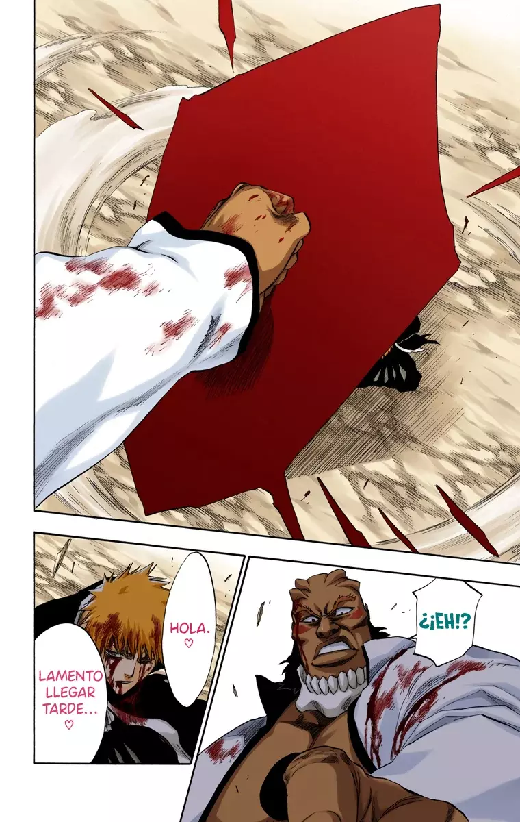 Bleach (Color) capítulo 193, página 20